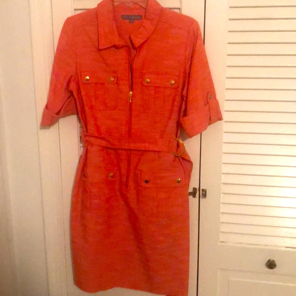 Sharagano Dress